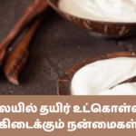 காலையில் தயிர் உட்கொள்வதால் கிடைக்கும் நன்மைகள்